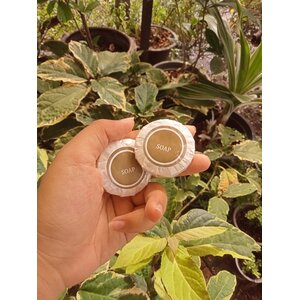 สบู่จีบ