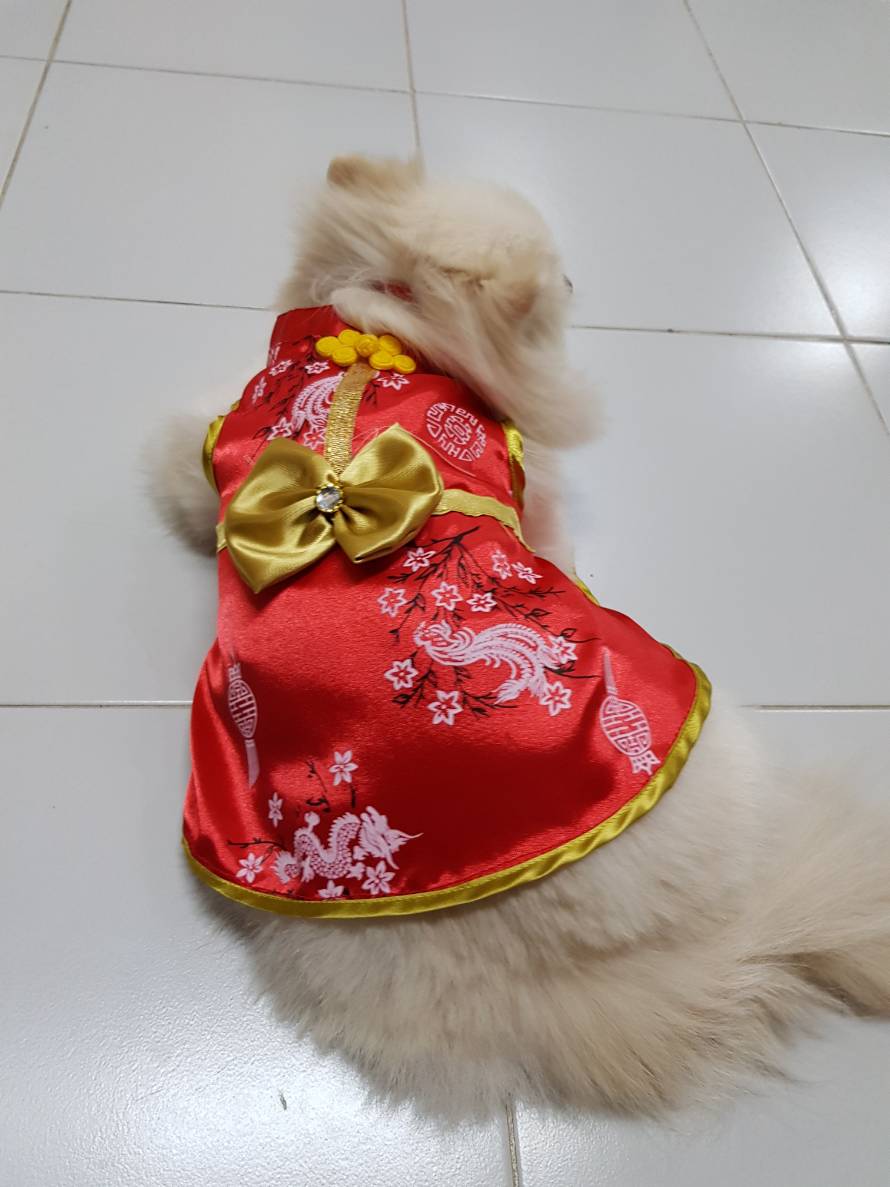 ชุดกีเพ้าสุนัข สำหรับสุนัขตัวเมีย สีแดงสดใส
