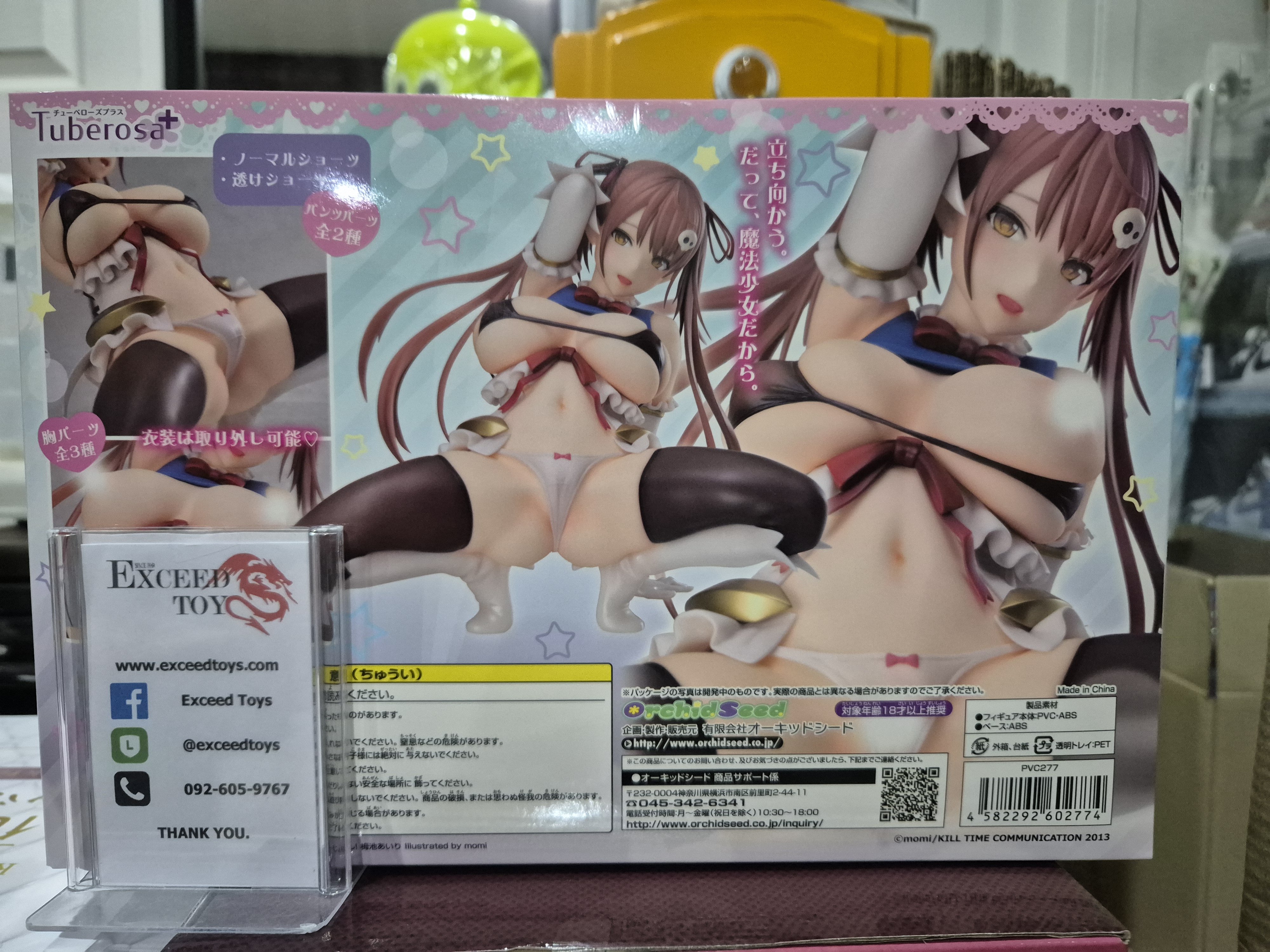 Tsugaike Airi