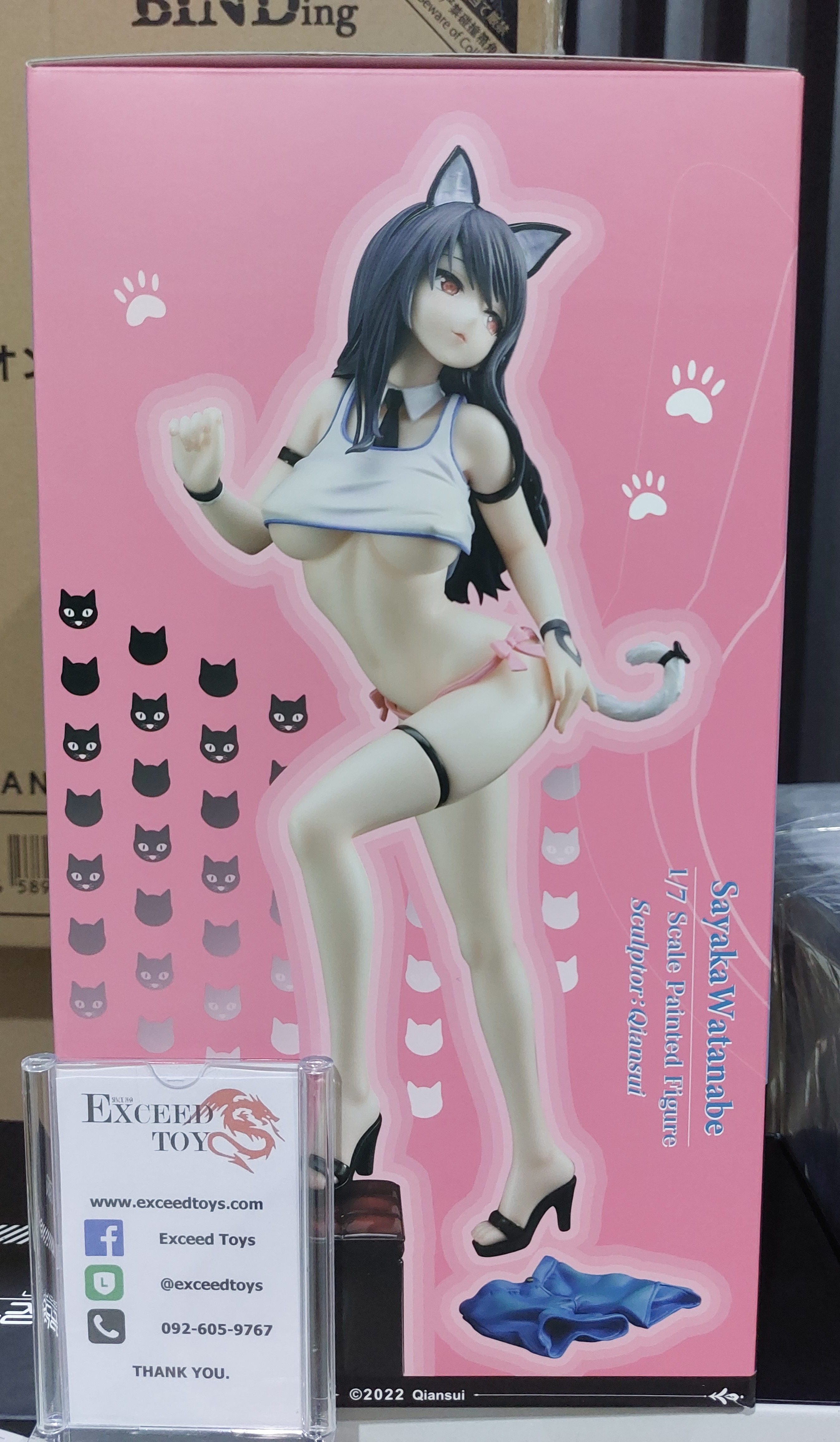 Watanabe Sayaka DX Ver.