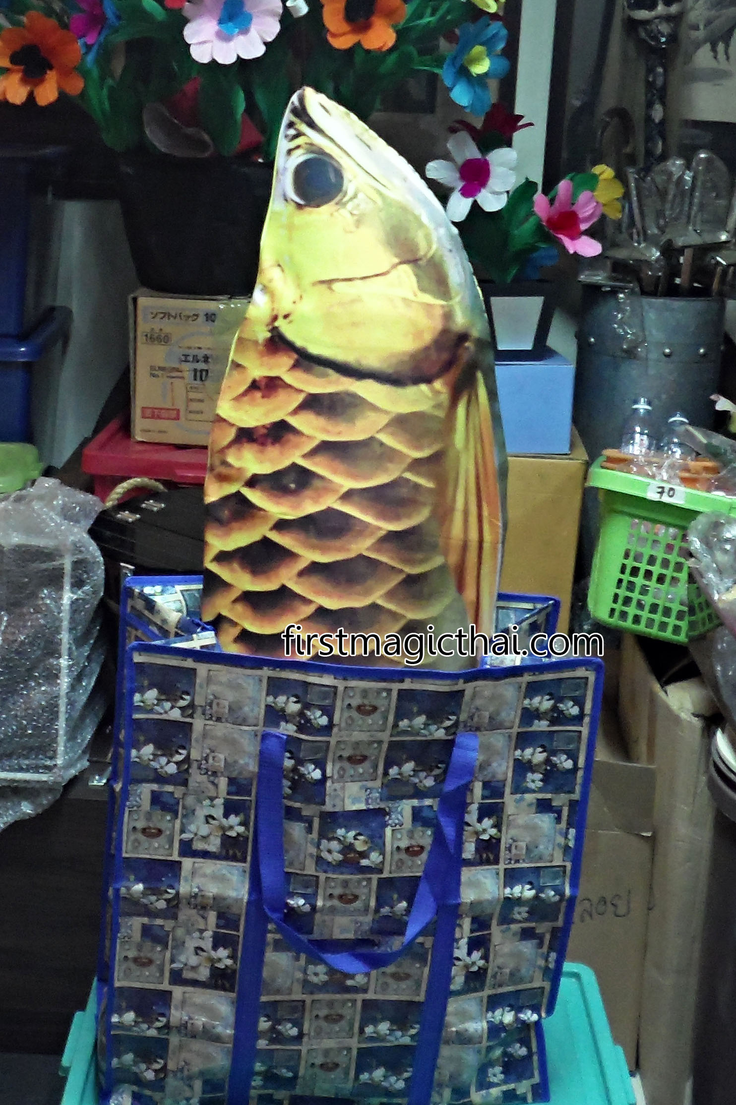 เสกปลา ยาว1.4เมตร / Appearing Fish 1.4meter