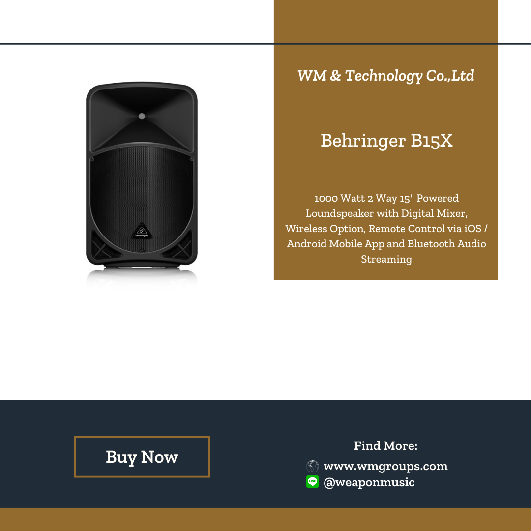 BEHRINGER B15X