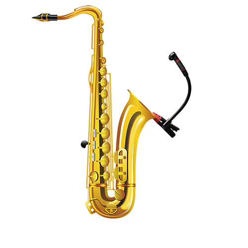 Alctron IM500 wood wind & Brass Microphone