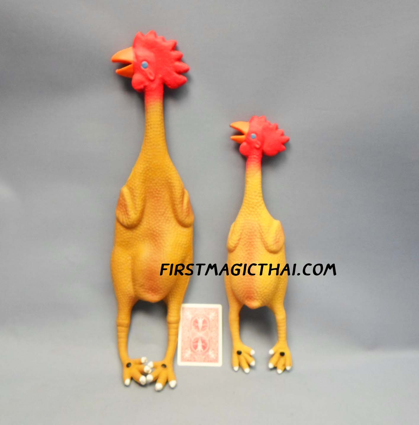 ไก่ปิ๊ป ใหญ่