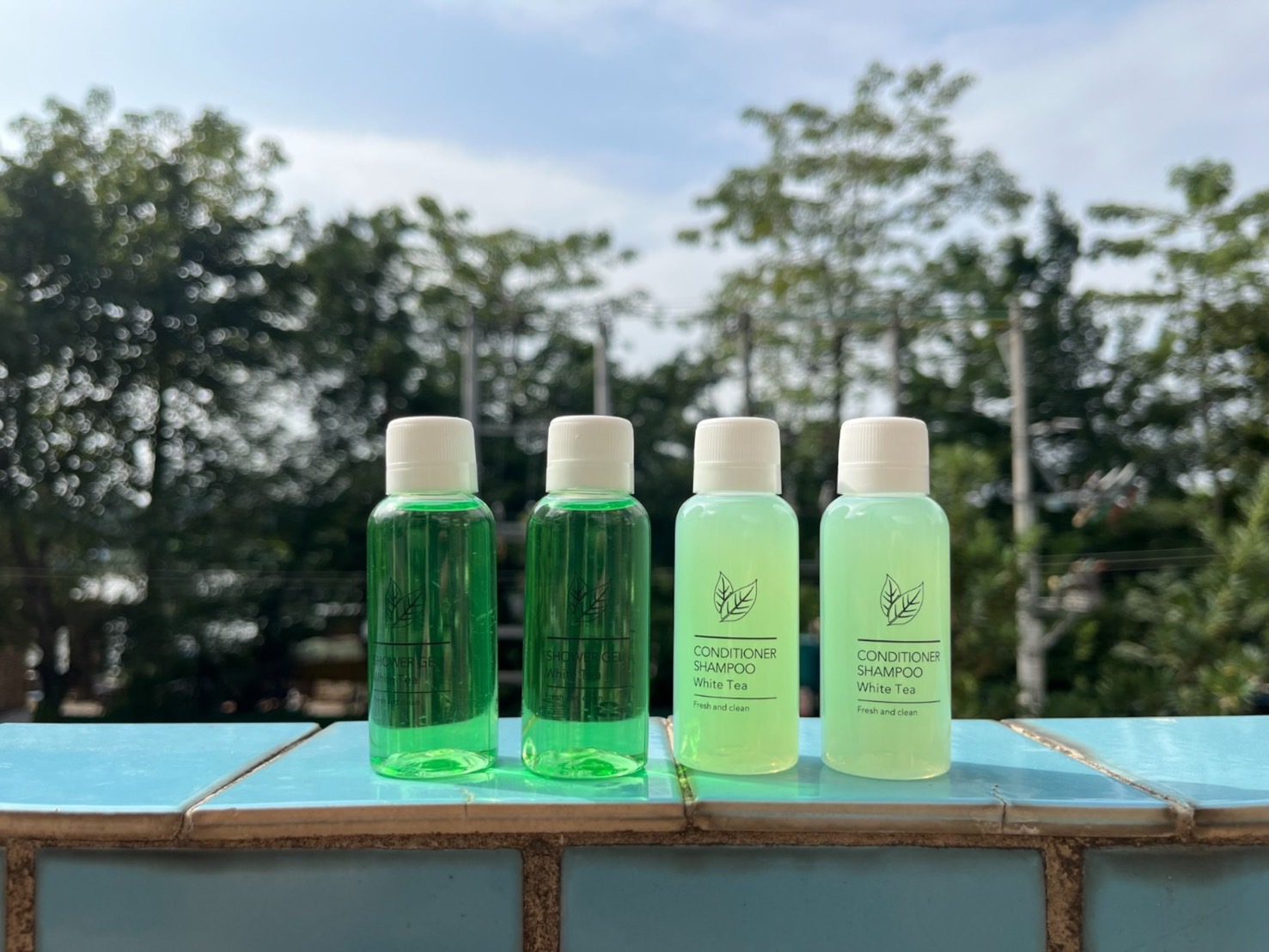 แชมพูผสมครีมนวดผม ขนาด 30มล