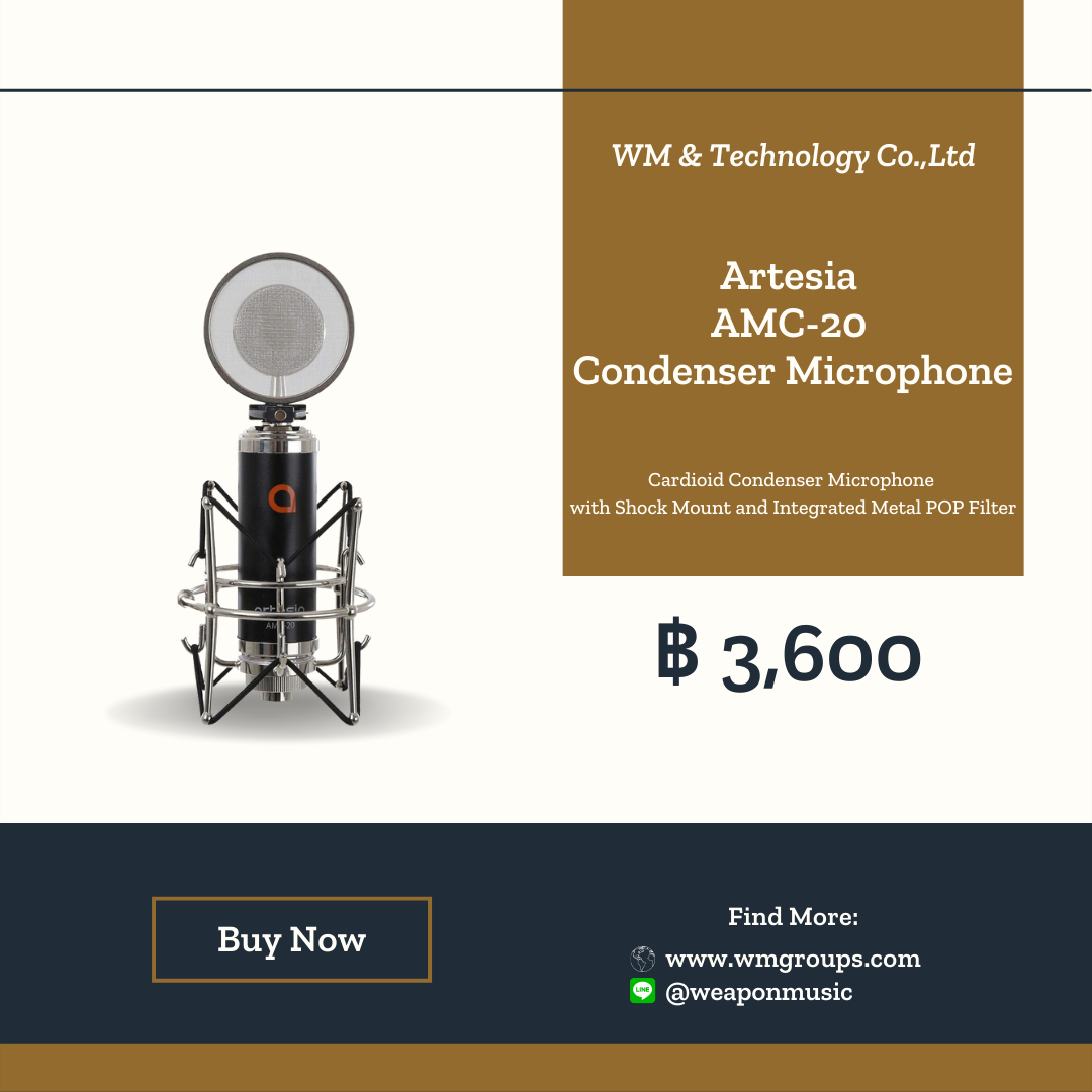 Artesia AMC-20 Condenser Microphone
