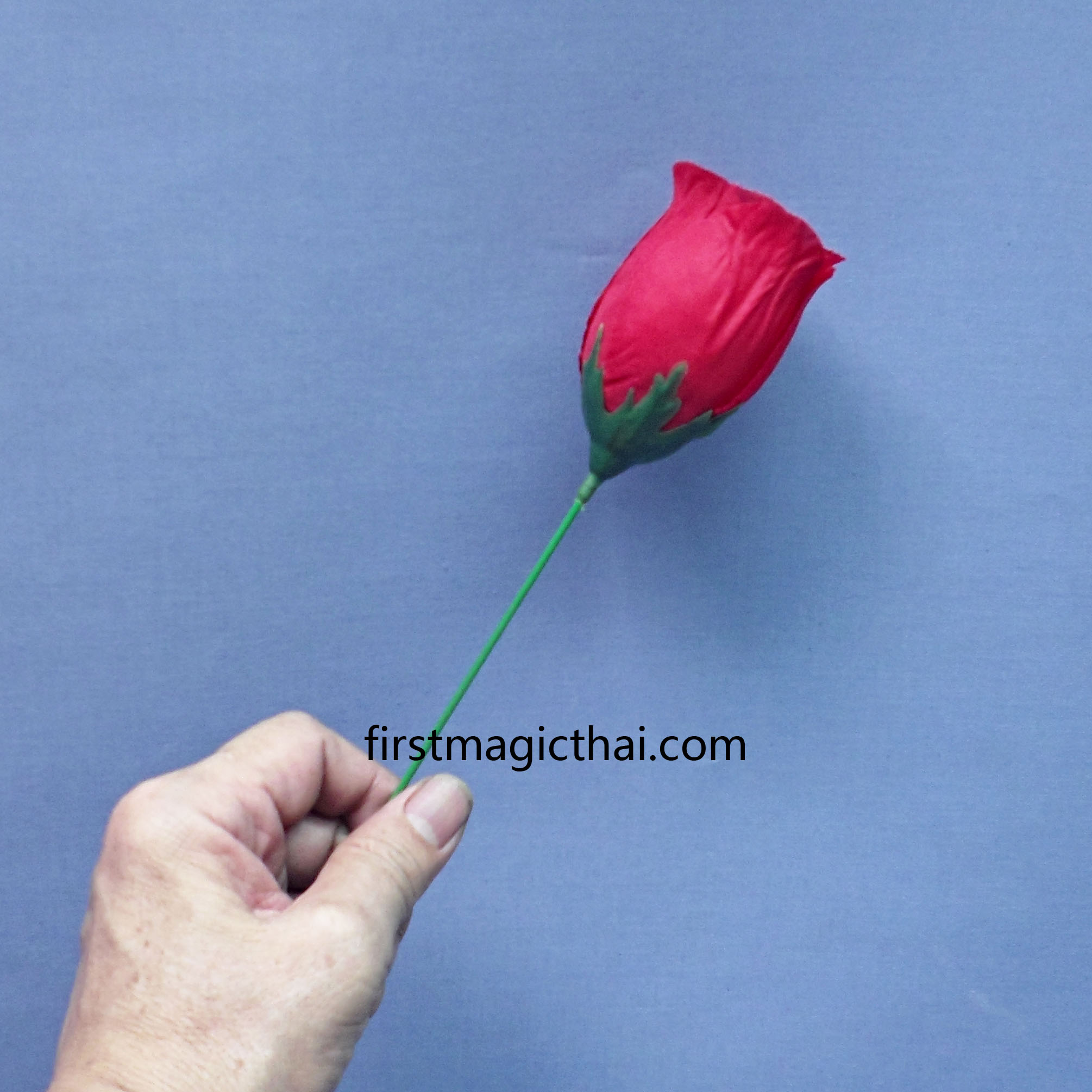 คบเพลิงดอกไม้ รุ่นใหม่ / Torch to Rose
