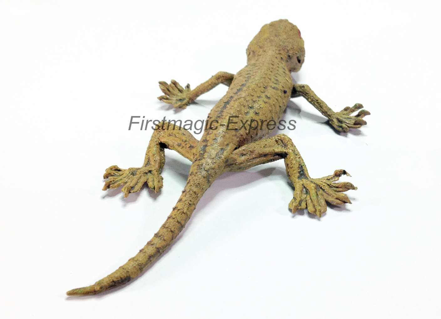 ตุ๊กแก(เล็ก)