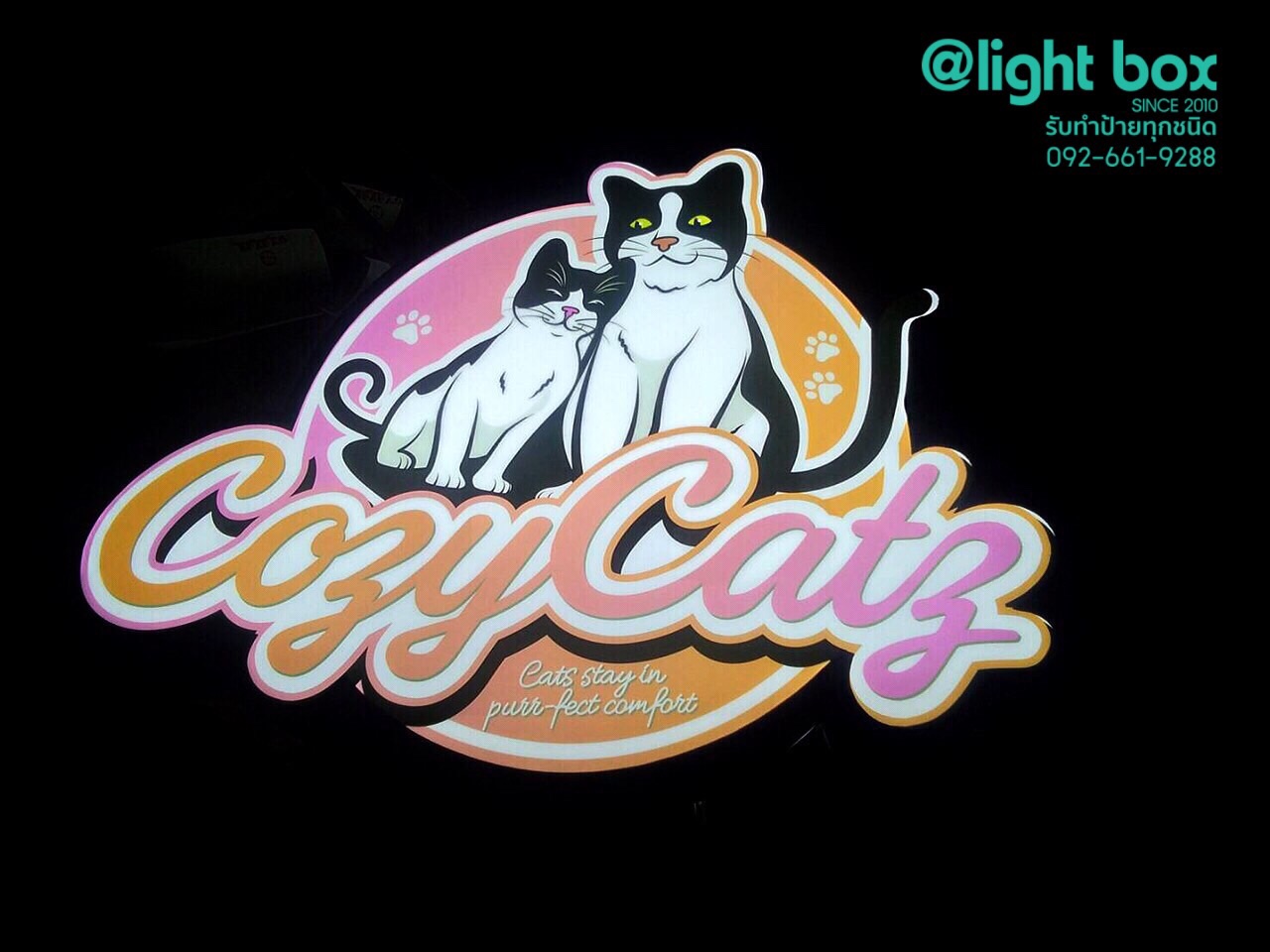 กล่องไฟ #CosyCats จัดส่งนนทบุรี