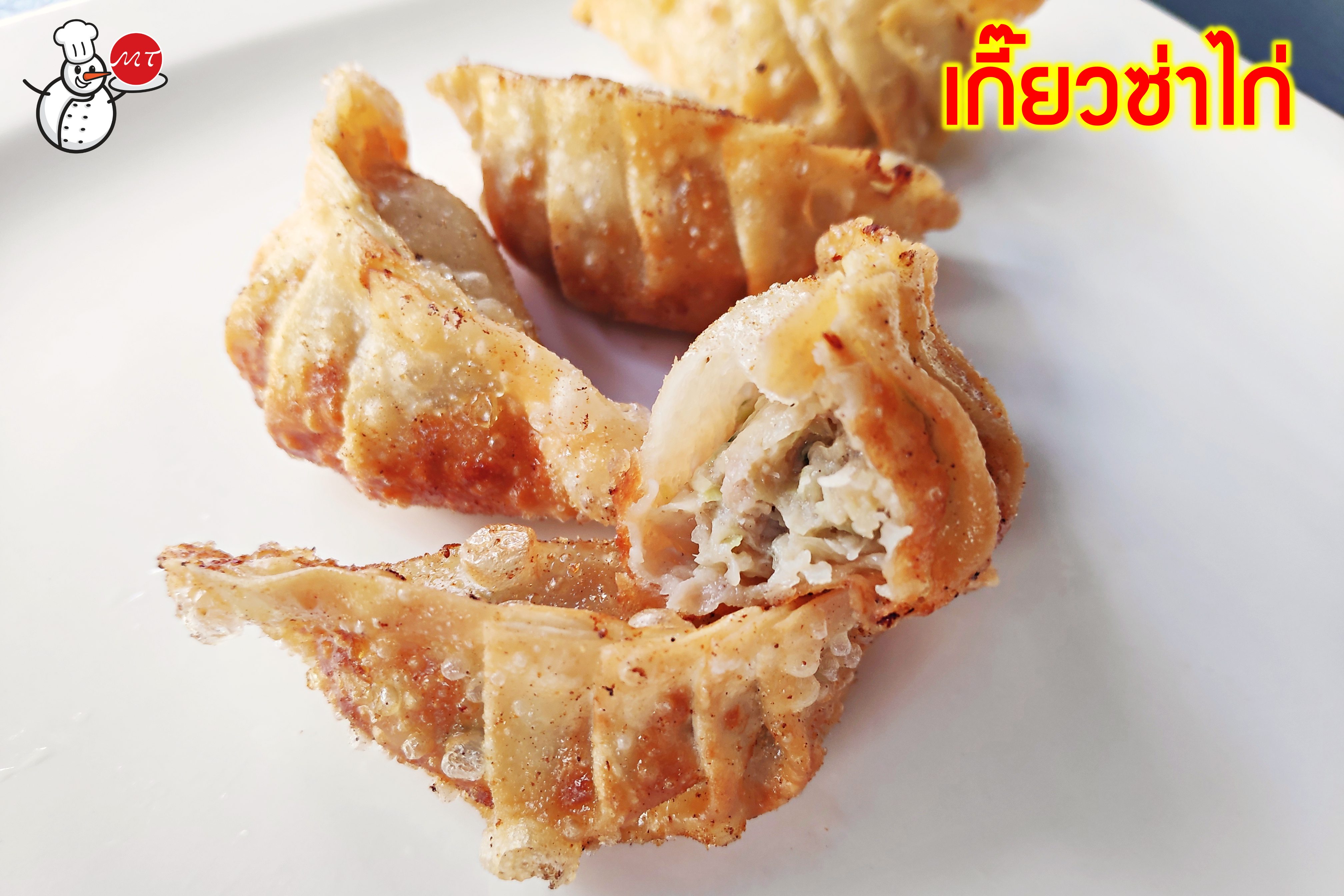 เกี้ยวซ่าไก่