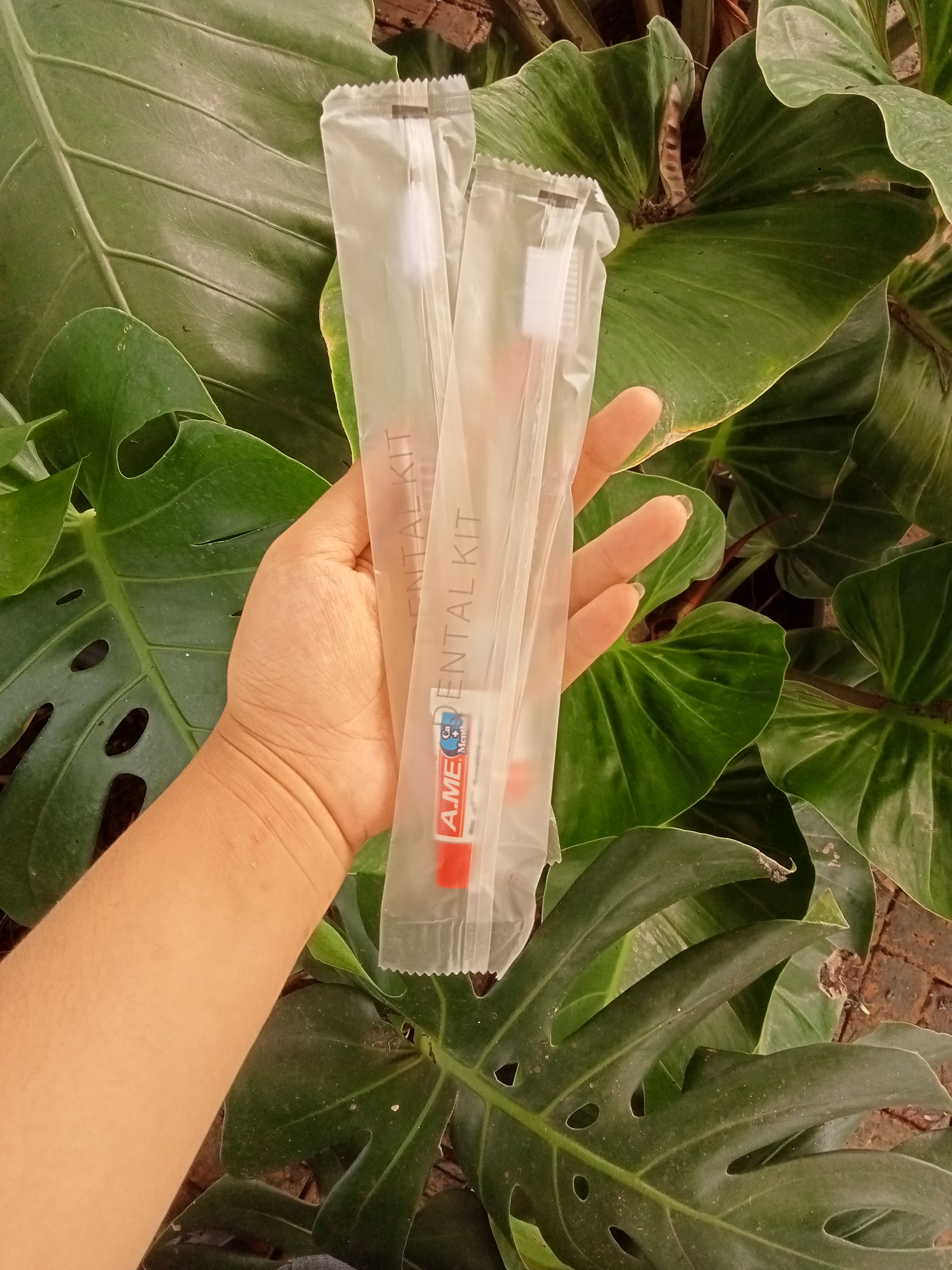 แปรงสีฟันยาสีฟัน