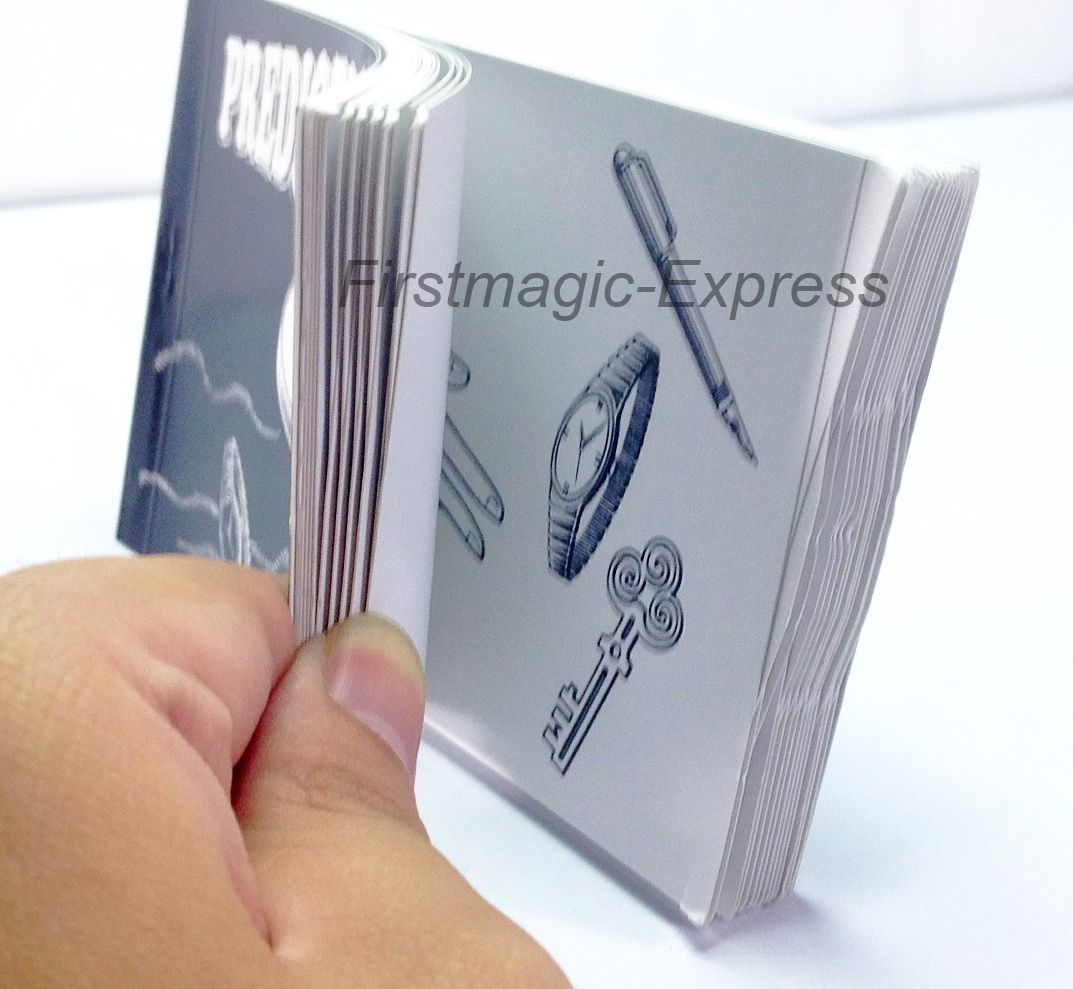 หนังสือหยิบของ / Prediction Book