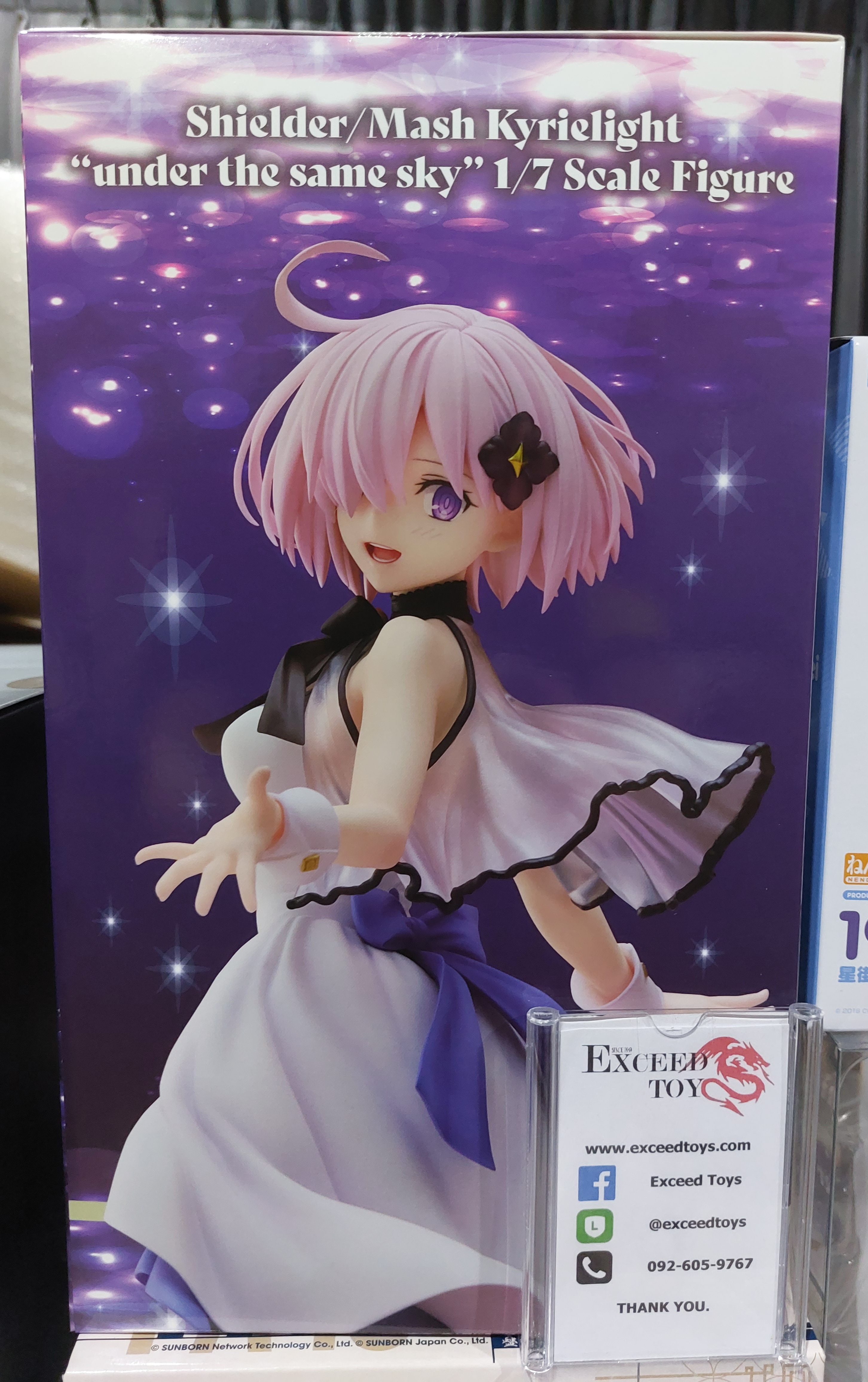 Mash Kyrielight Shielder under the same sky