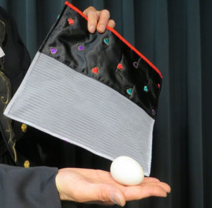 ถุงไข่ญี่ปุ่น