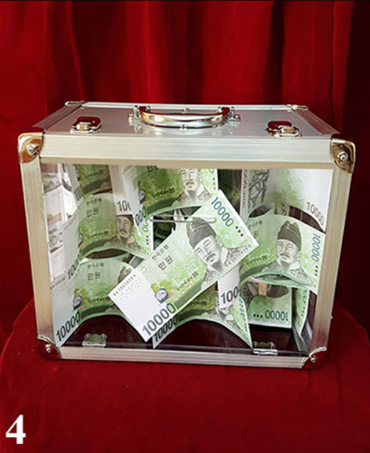 Tora Glassy Briefcase (4 Times)