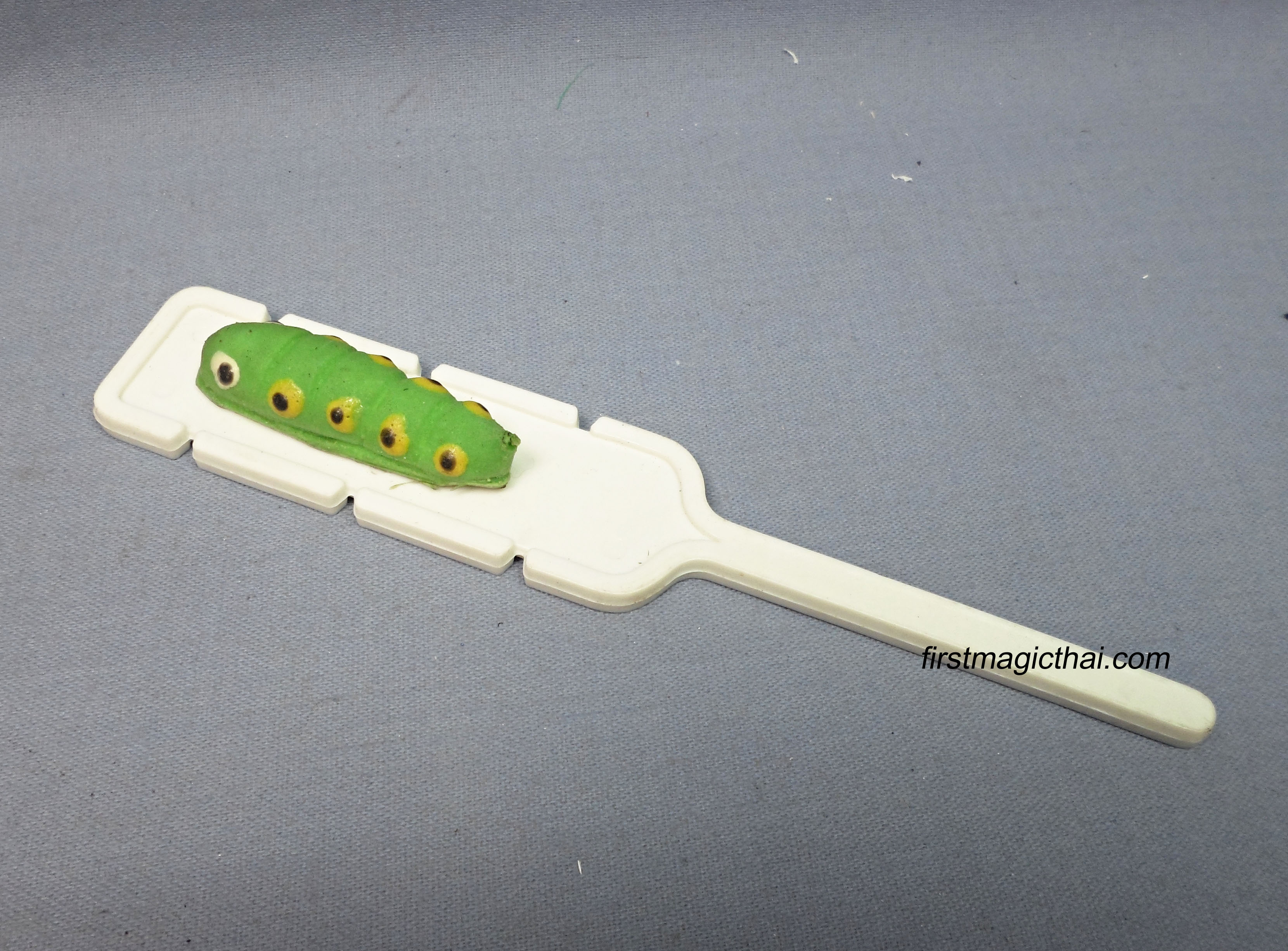 หนอนชาเขียว เล็กเป็นใหญ่