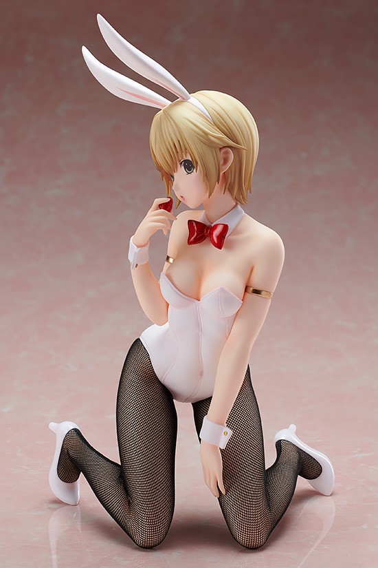 Tsukasa Nishino : Bunny Ver.
