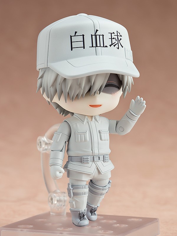 White Blood Cell