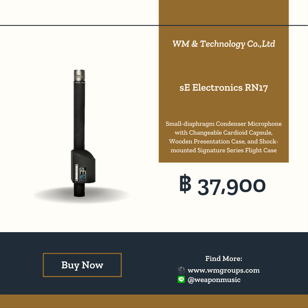 sE Electronics RN17