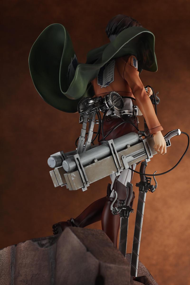 Levi - 1/7 (Pulchra)