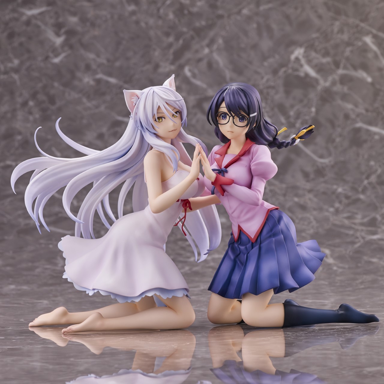 Tsubasa Hanekawa Set (Resale)
