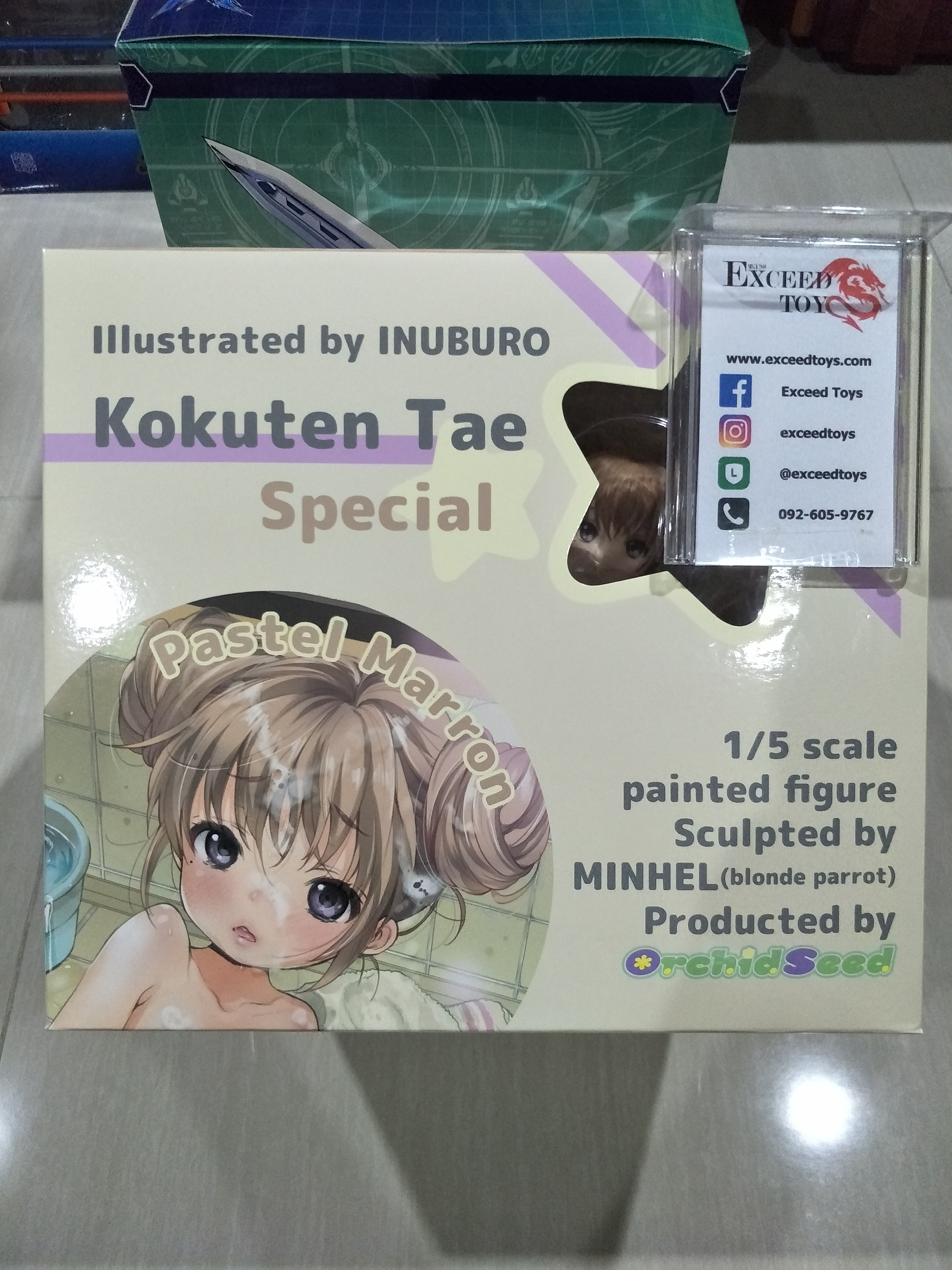Kokuten Tae Pastel Marron