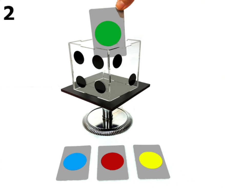 Tora Mental Glassy Dice