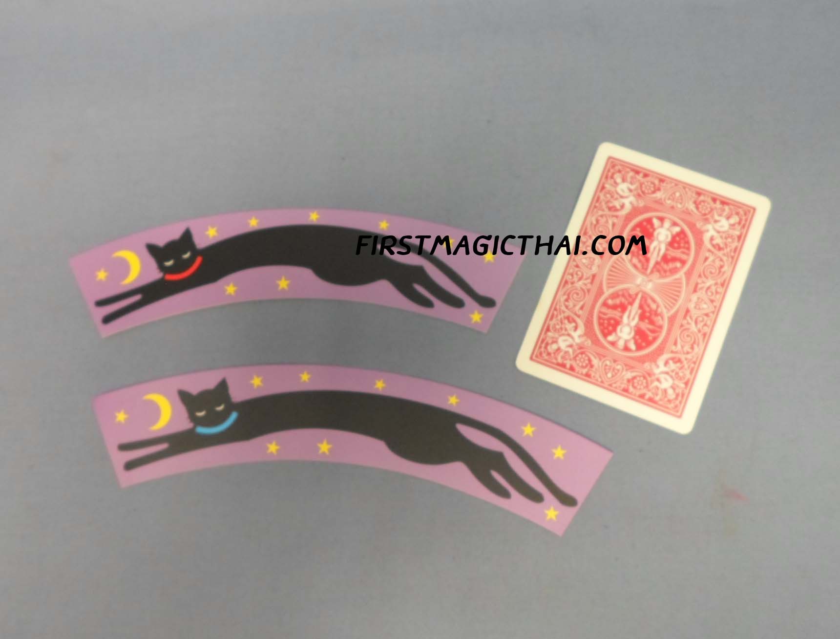 แมวเล็ก-แมวใหญ่ / Trumpet length cat