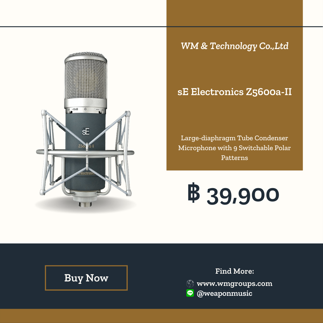 sE Electronics Z5600a-II