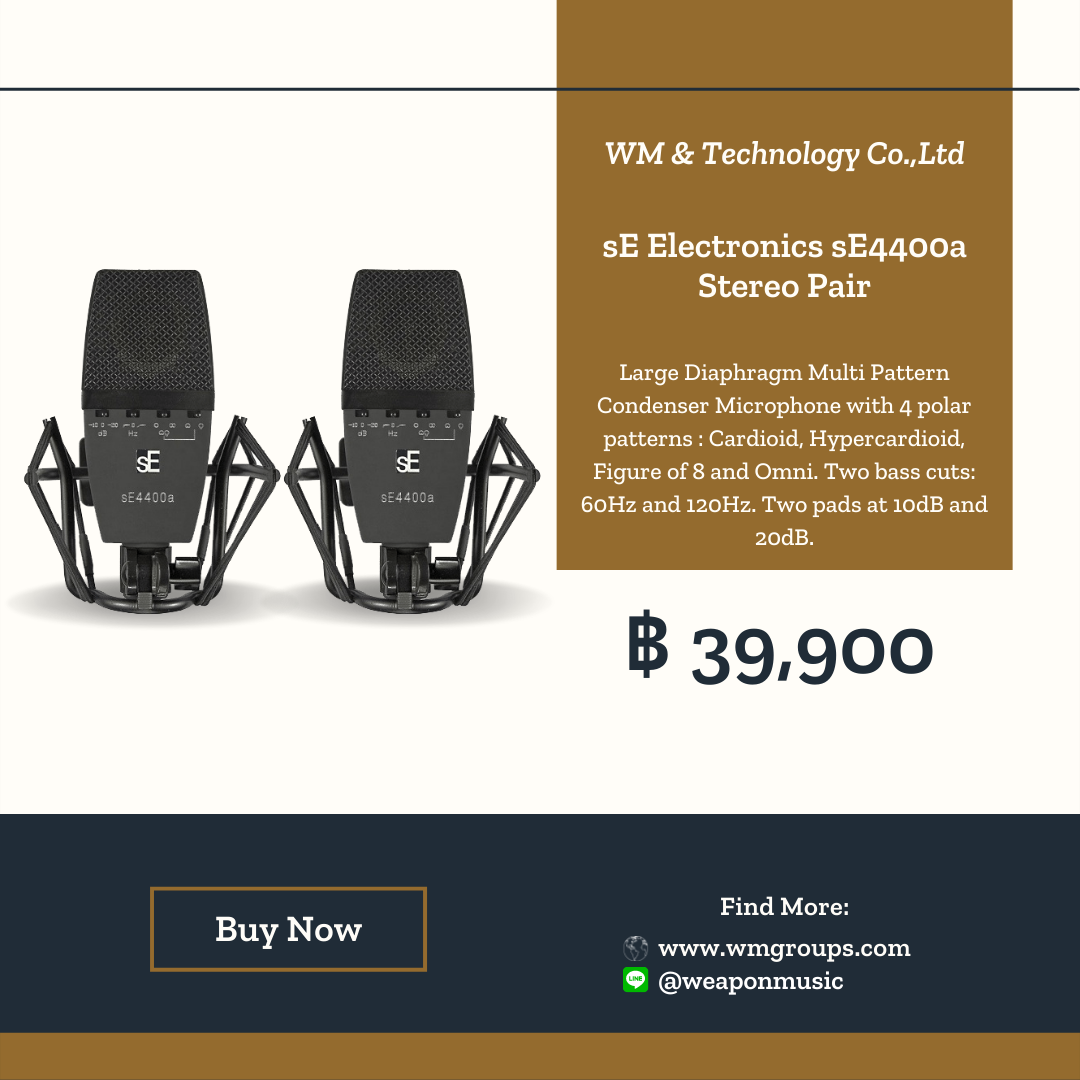 sE Electronics sE4400a Stereo Pair