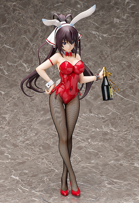 Shinonono Houki Bunny ver.
