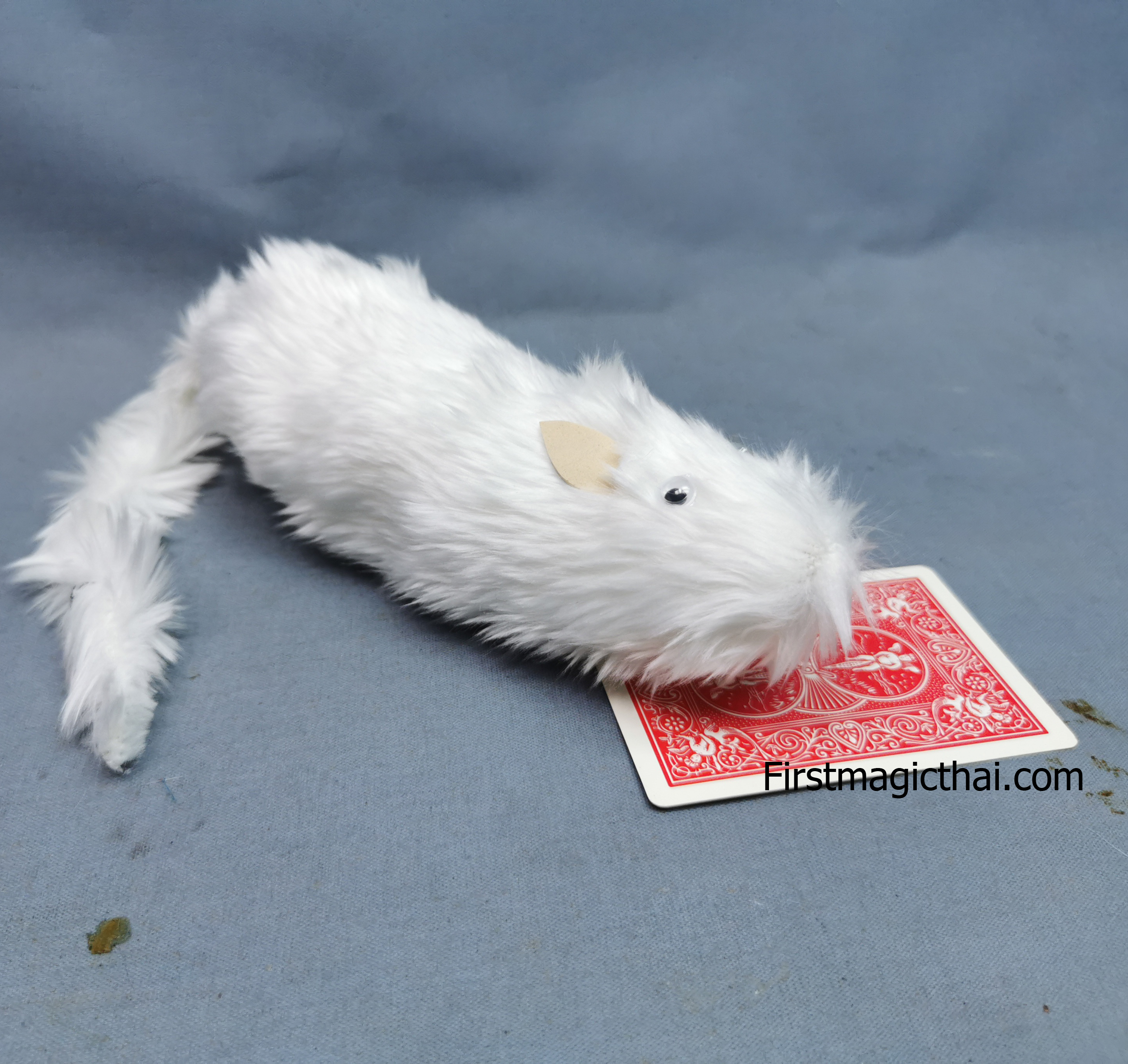 หนูขาวมีเสียง / rat puppet