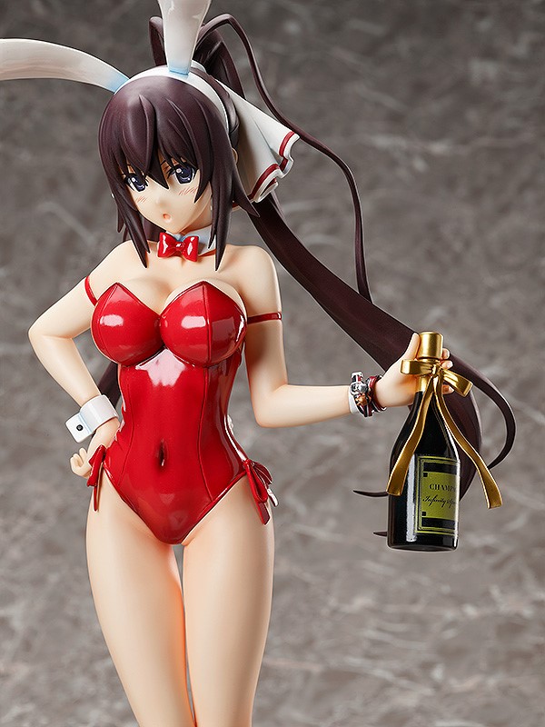 Houki Shinonono Bare Leg Bunny Ver.