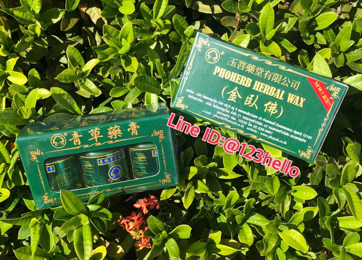 PHOHERB HERBAL WAX ยาหม่อง ตราโพธิ์เฮิร์บ ขนาดบรรจุ 3 ขวด ขวดละ 15 กรัม