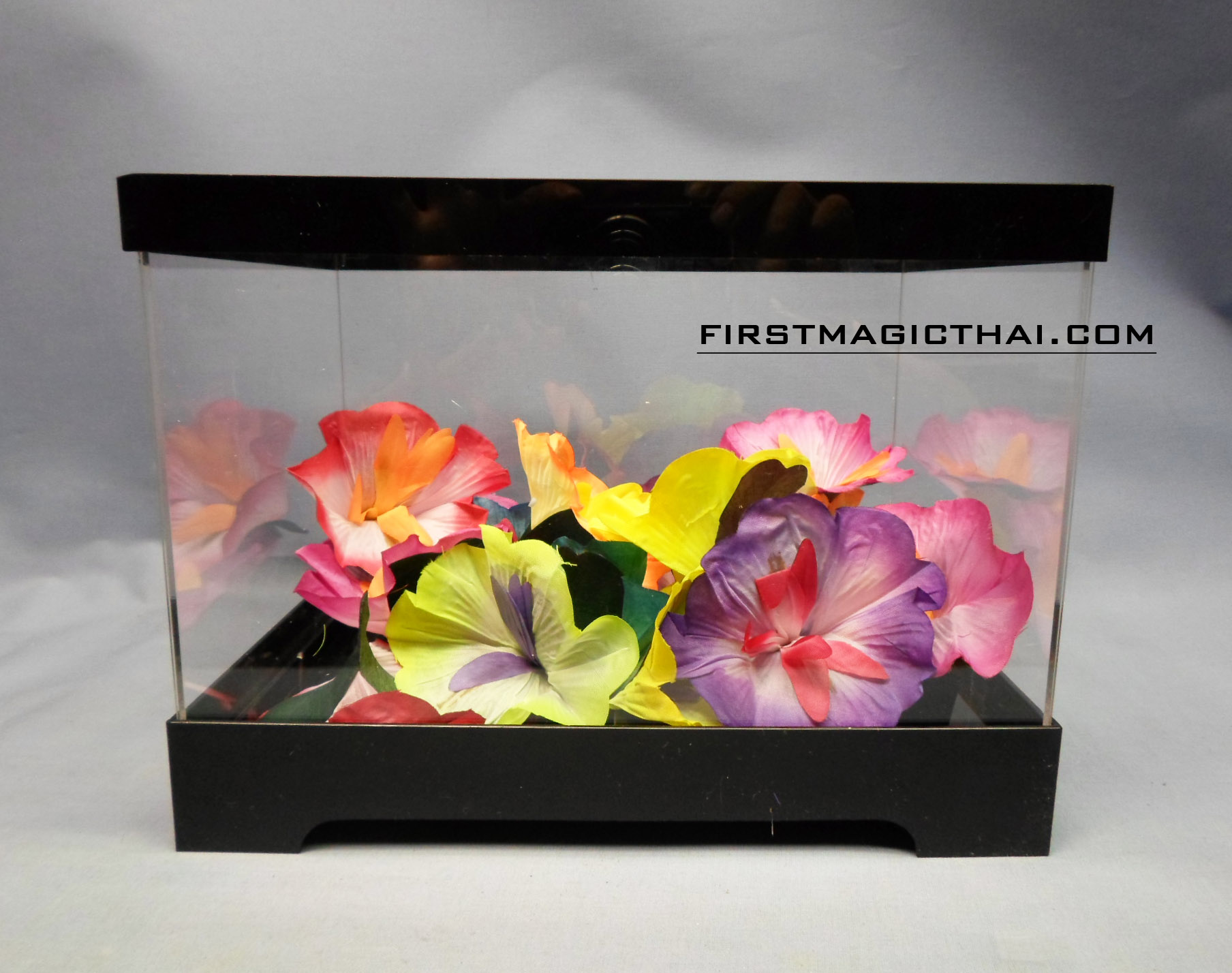 ตู้ใส เสกของ / Illusion Money Box