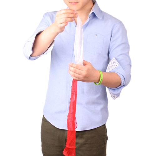 ผ้าเปลี่ยนสี / CCSilk
