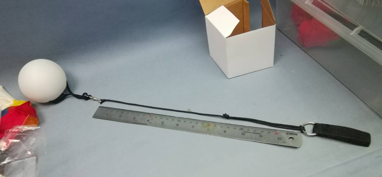 ลูกบอลไฟ เหวี่ยง / LED Ball Poi Spinning