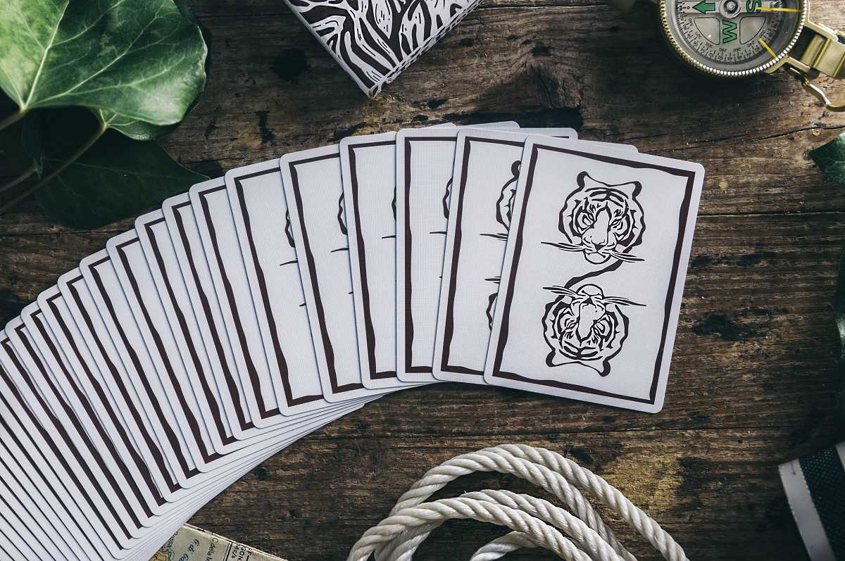 The Hidden King Playing Cards สีขาว