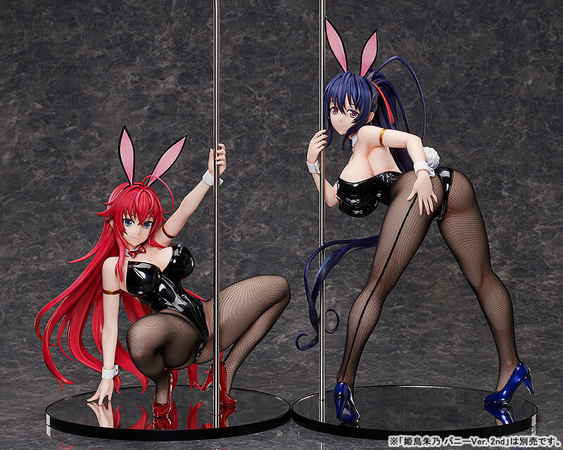 Akeno Himejima Bunny Ver. 2nd