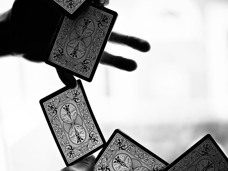 Bicycle Black Tigers Red Pips (New)