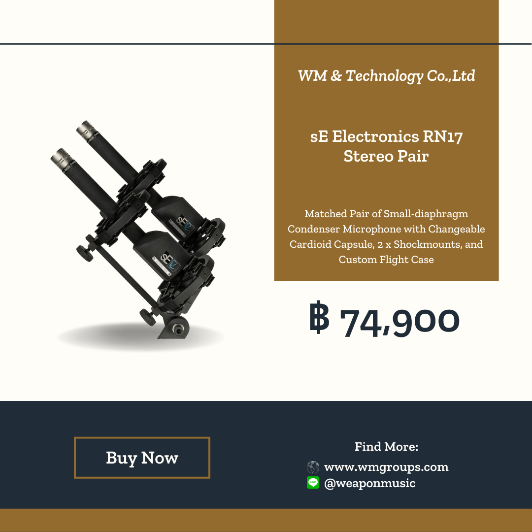 sE Electronics RN17 Stereo Pair