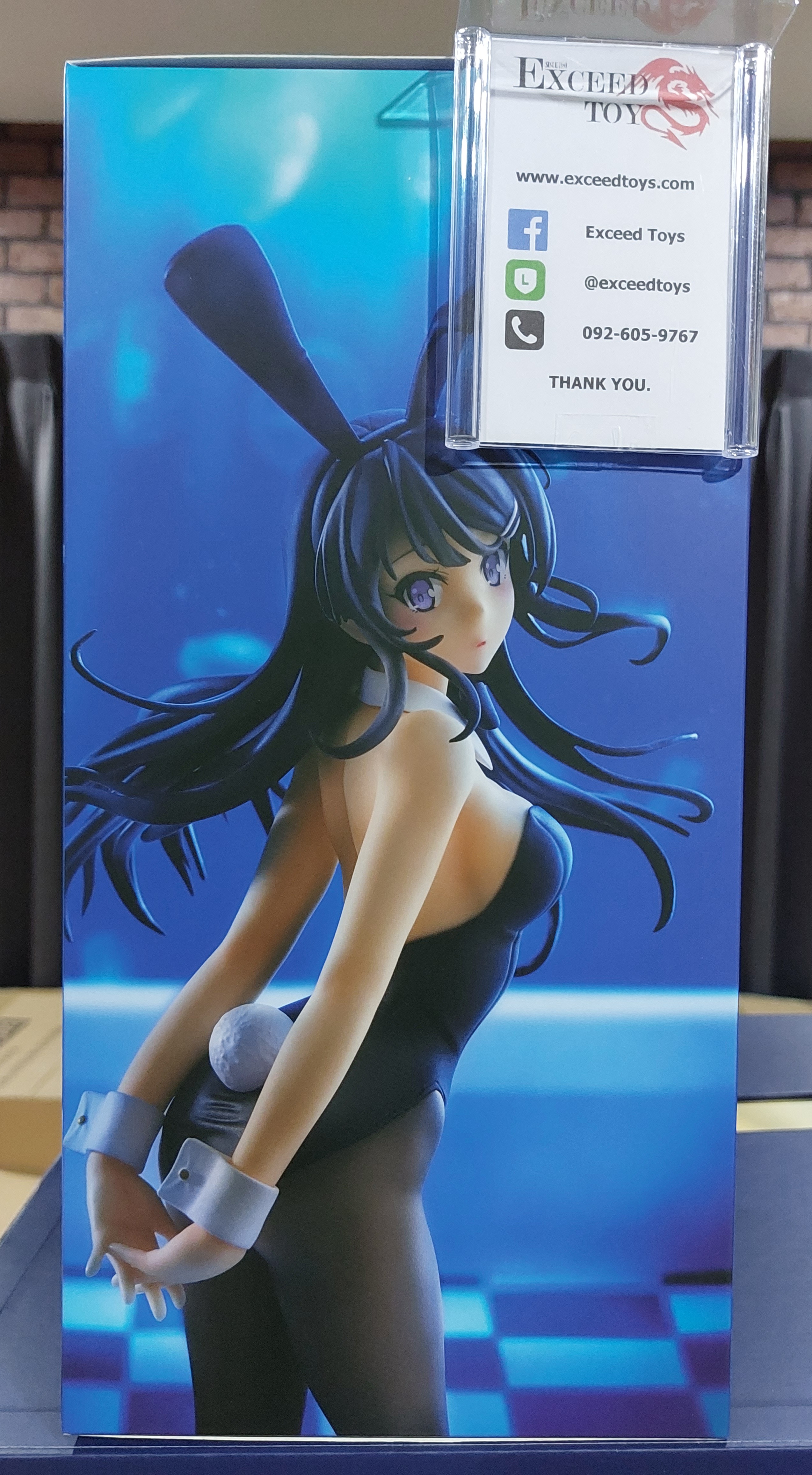 Sakurajima Mai Bunny Girl ver.
