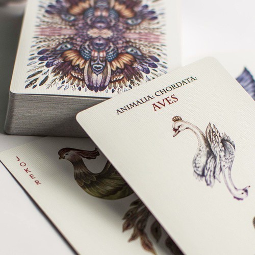 Bicycle Aves Playing Cards