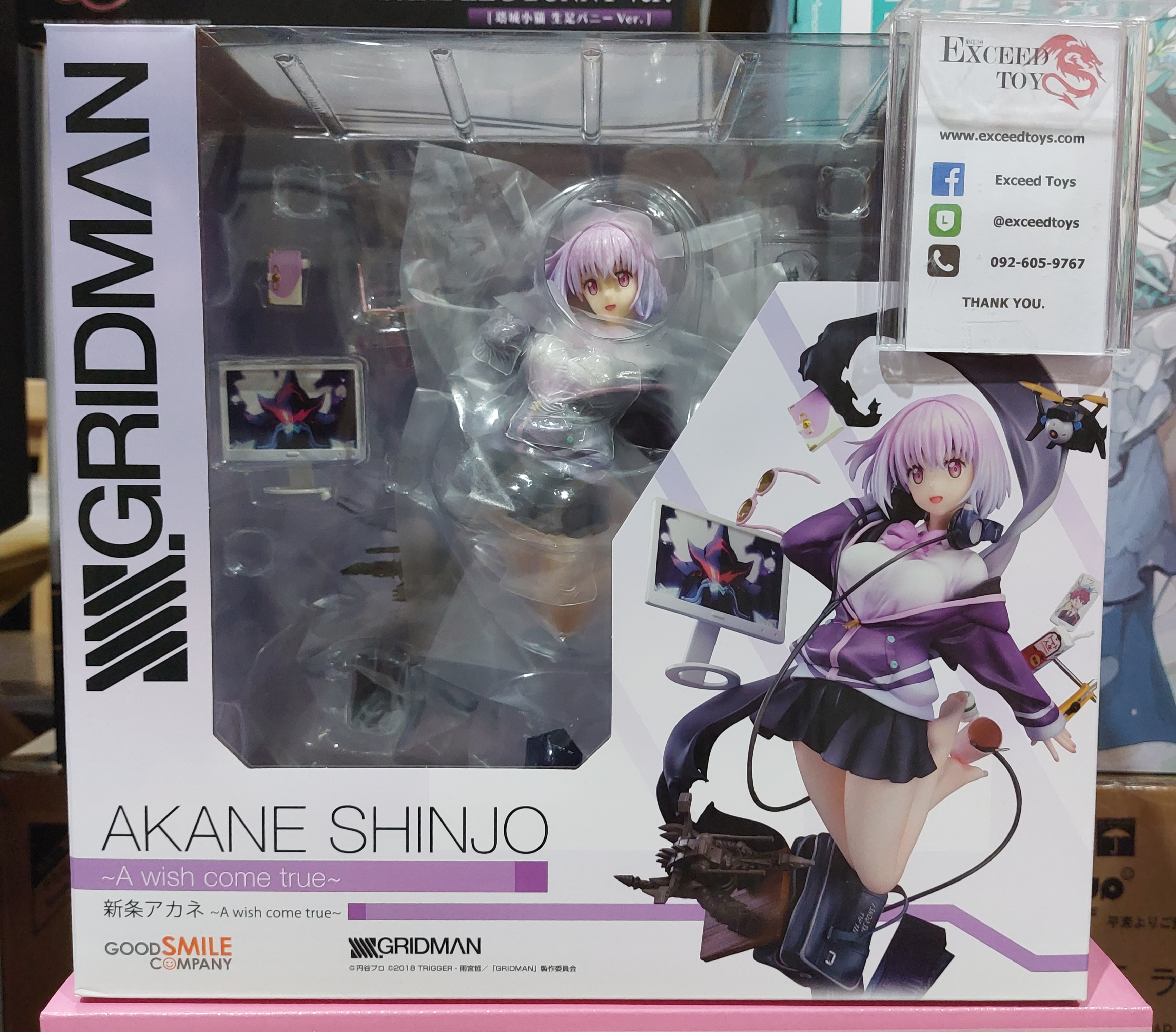 Akane Shinjo ~A wish come true~