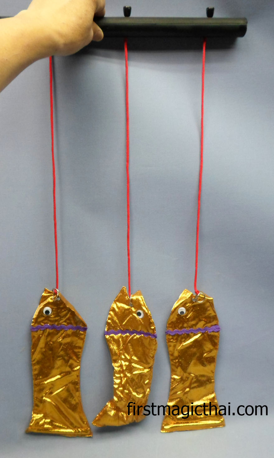 เชือกปลา สีทอง