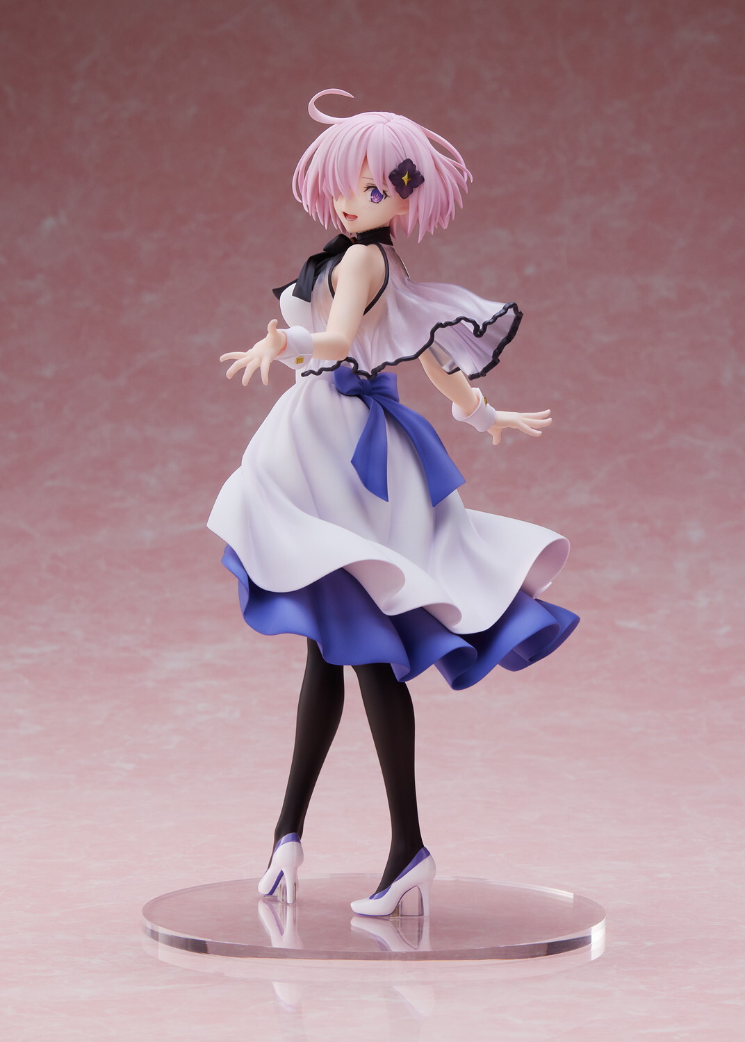 Mash Kyrielight Shielder under the same sky