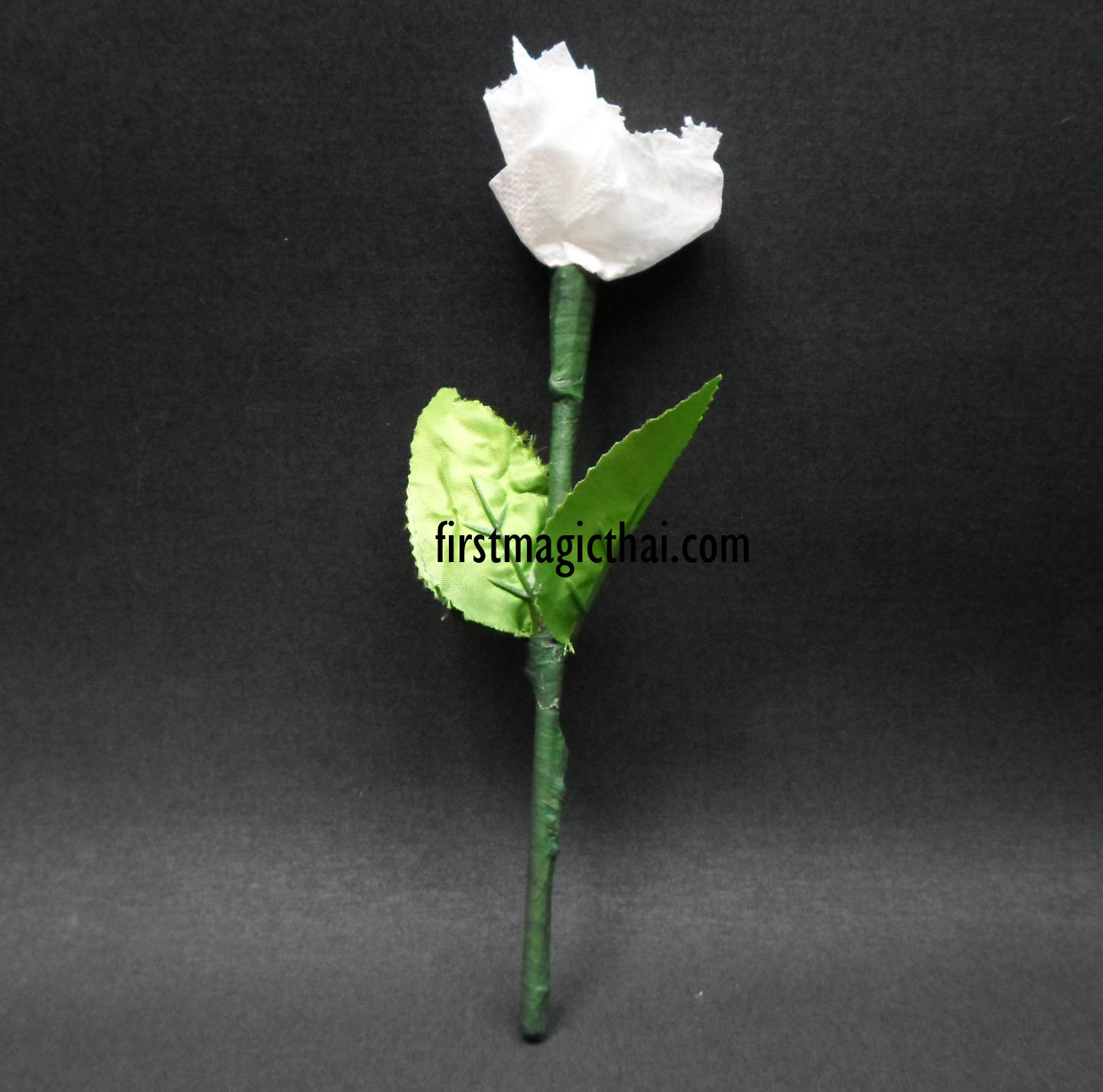 ดอกไม้ไฟ เปลี่ยนสี / Fire Rose