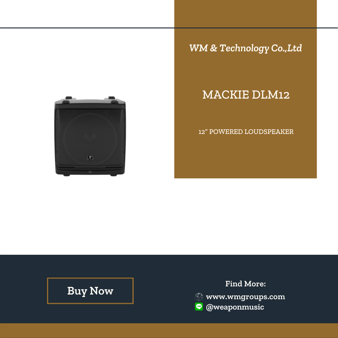 MACKIE DLM12