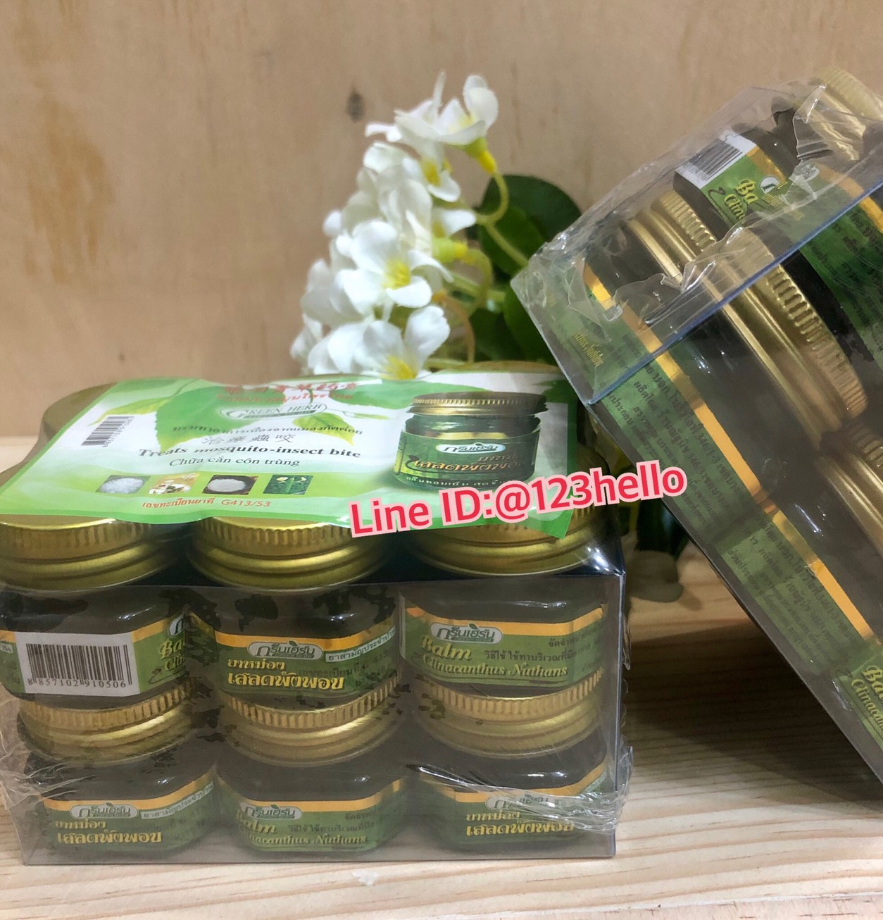 GREEN HERB Clinacanthus Nuthans Balm ยาหม่องเสลดพังพอน ตรากรีนเฮิร์บ บรรจุ 12 กระปุก กระปุกละ 10 กรัม