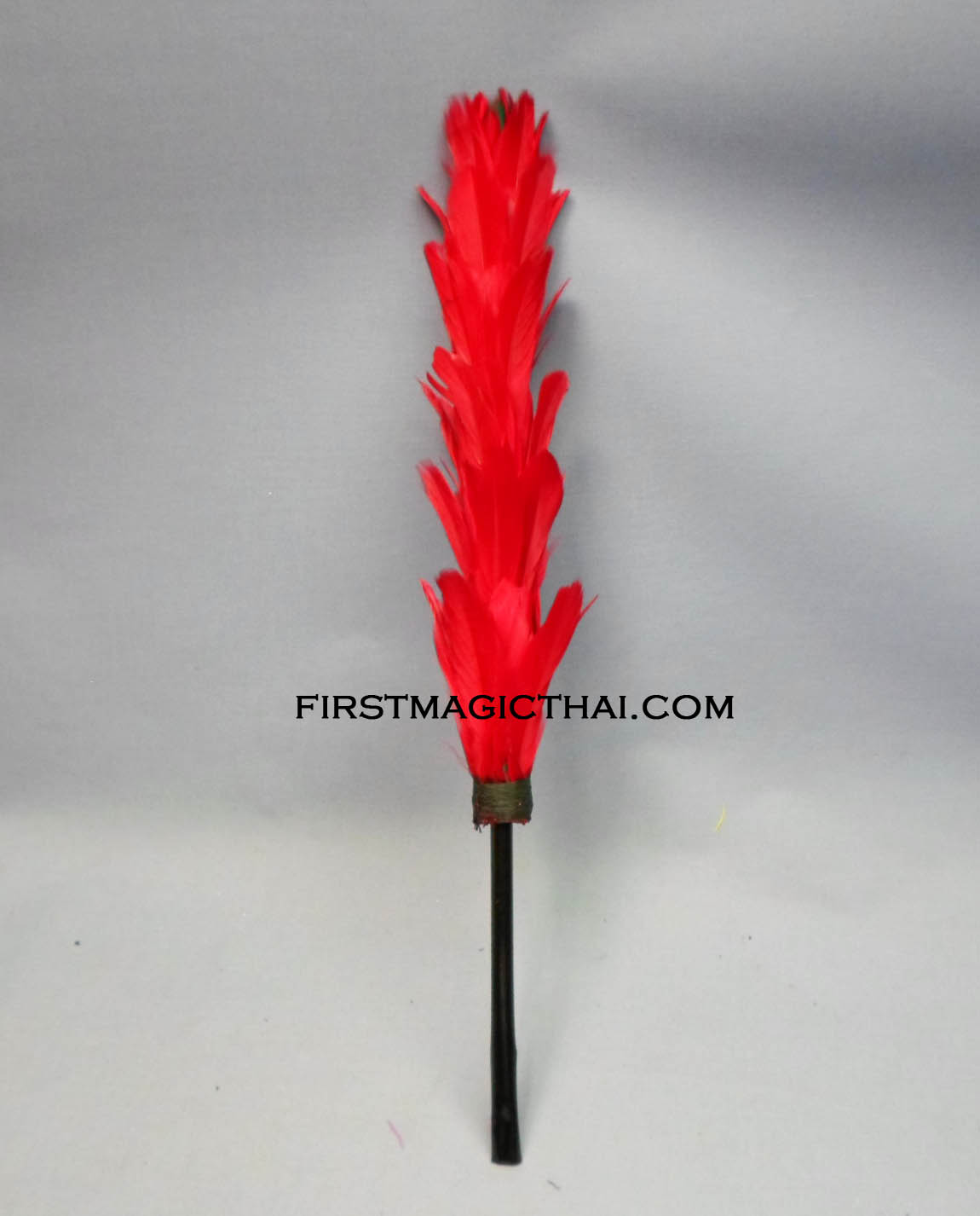 ดอกไม้เปลี่ยนสี (2สี)